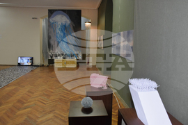 Видин - Международна изложба