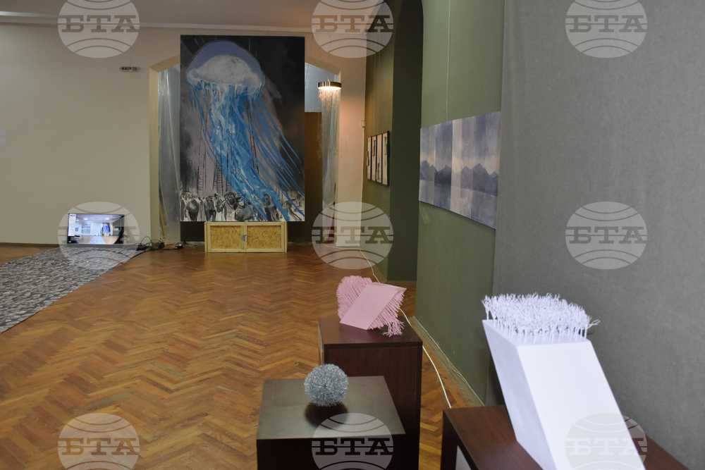 Видин - Международна изложба