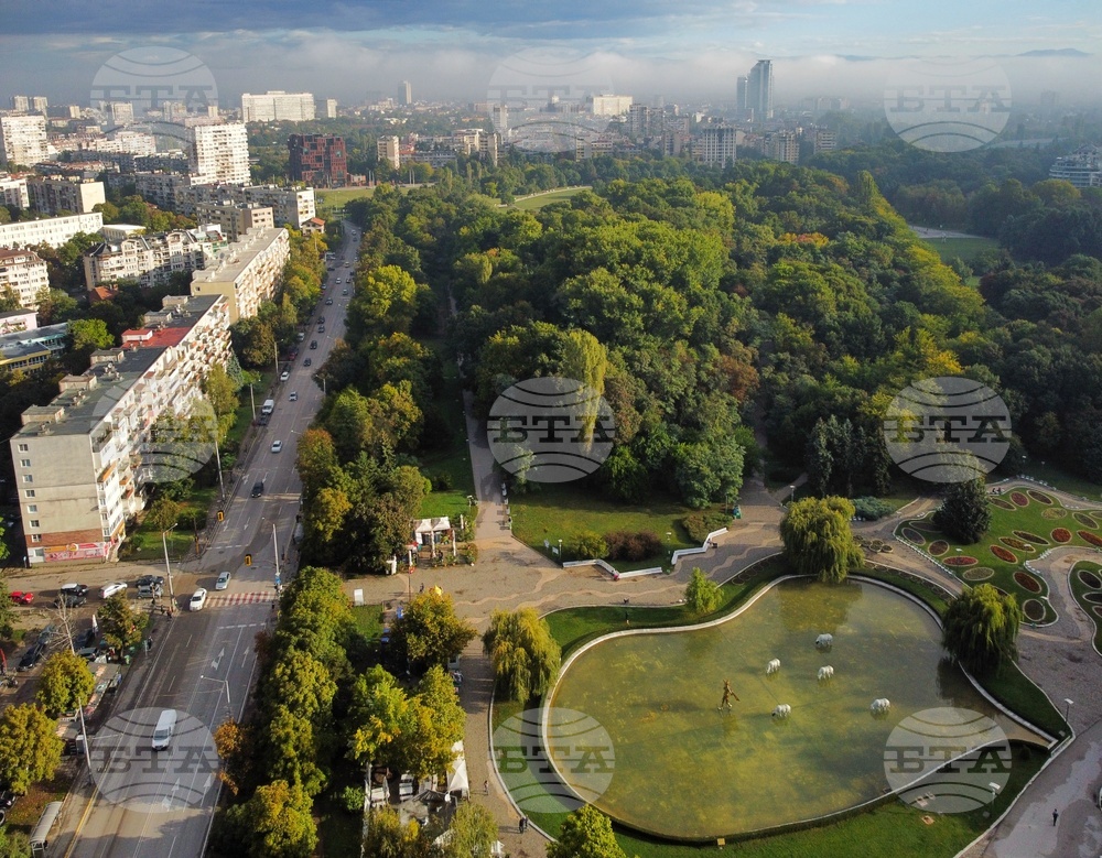 Скулптурна композиция „Водна паша“