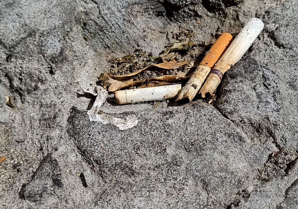 Неизгасена цигара е причинила големия горски пожар край Лимасол, сочи доклад на американското звено за разследване на пожари и палежи 