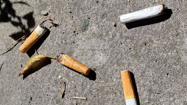 Over 100,000,000 Cigarettes Found in Illegal Factory near Haskovo 