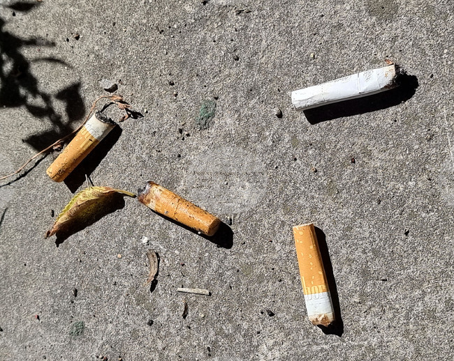 Over 100,000,000 Cigarettes Found in Illegal Factory near Haskovo