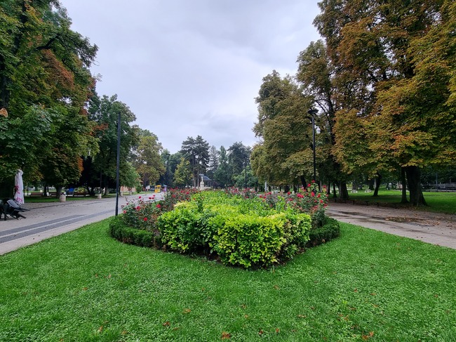 В Плевен общинската управа продължава инициативата си за засаждане на фиданки