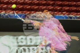 Тенис - "Sofia Open" - Фернандо Вердаско