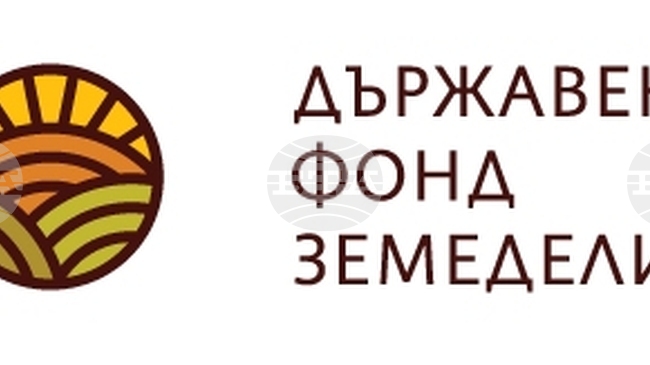 Изплатени са над 2 млн. евро на памукопроизводителите за Кампания 2025, съобщават от ДФЗ