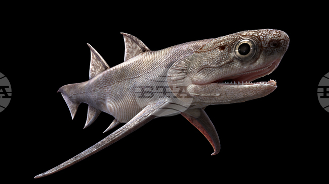 Древни рибни фосили, открити в Китай,  запълват празнината в еволюционното развитие от риба към човек