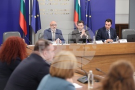 Министерски съвет - Съвет за икономически анализи - анализ