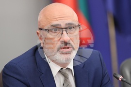 Министерски съвет - Съвет за икономически анализи - анализ