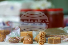 Благоевград - Световен ден на медоносната пчела - празник