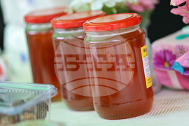 Благоевград - Световен ден на медоносната пчела - празник