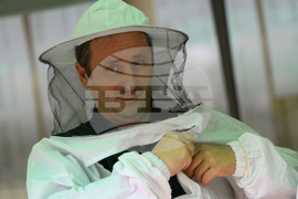 Благоевград - Световен ден на медоносната пчела - празник