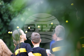 Благоевград - Световен ден на медоносната пчела - празник