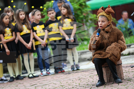 Благоевград - Световен ден на медоносната пчела - празник