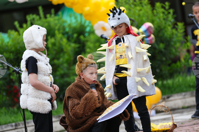 Благоевград - Световен ден на медоносната пчела - празник