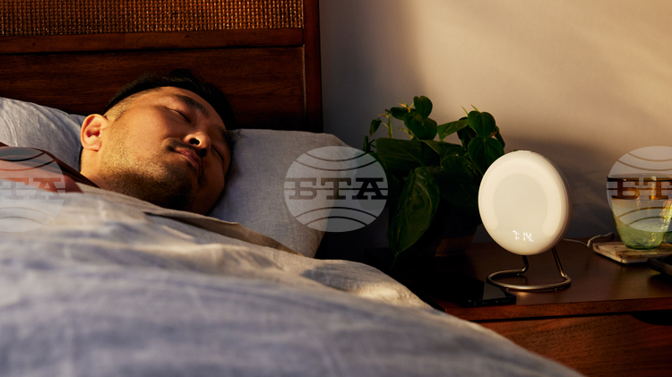 Учени от Франция са установили че влечугите птиците и бозайниците