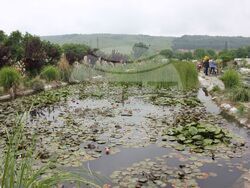 Снимка: Община Плевен