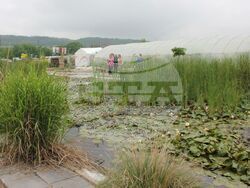 Снимка: Община Плевен