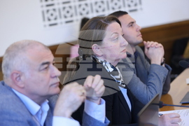 Народно събрание - Комисията по труда, социалната и демографската политика