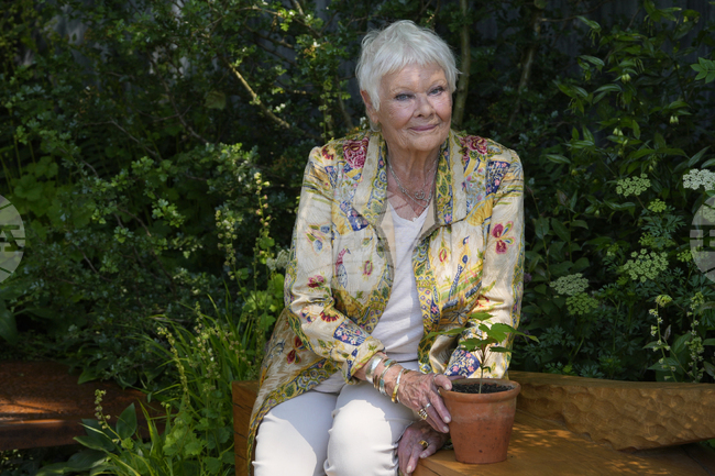 Обичам театъра повече от филмите, казва актрисата Джуди Денч, която днес навършва 90 години 