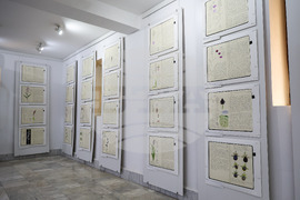 Бургас - Природонаучен музей - „Записки по българските орхидеи“ - изложба