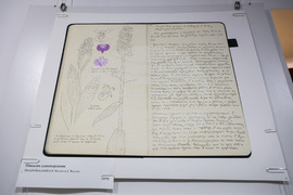 Бургас - Природонаучен музей - „Записки по българските орхидеи“ - изложба