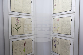 Бургас - Природонаучен музей - „Записки по българските орхидеи“ - изложба