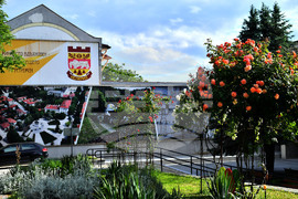 Исперих - пролетни цветя