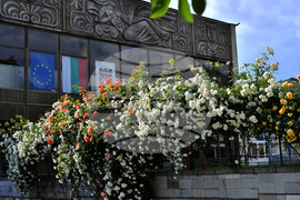 Исперих - пролетни цветя