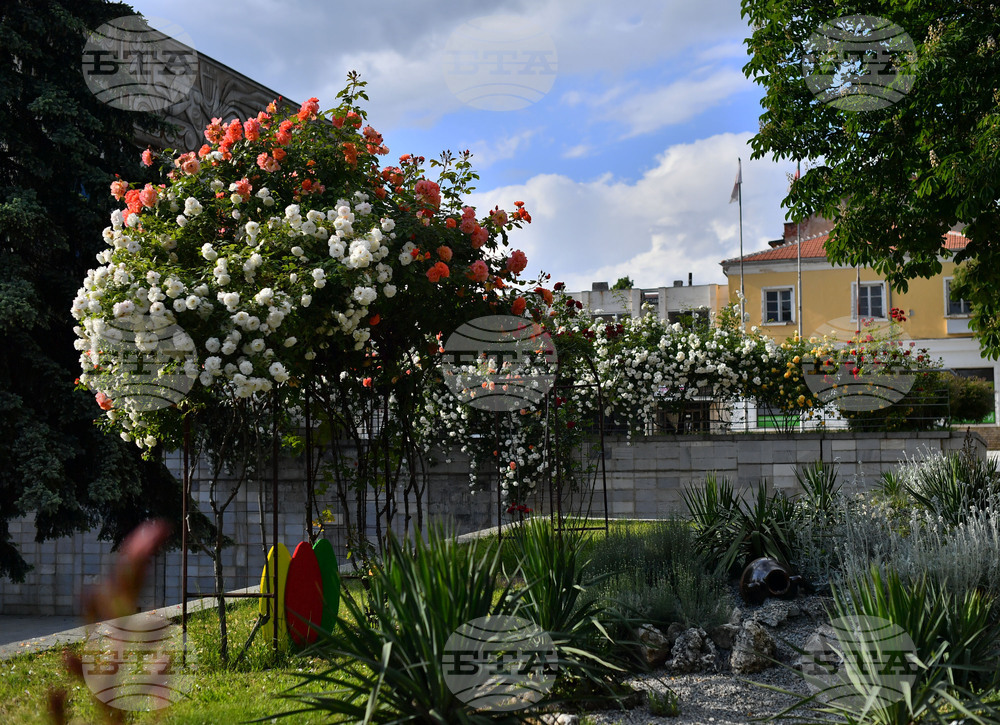 Исперих - пролетни цветя