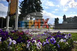 Исперих - пролетни цветя