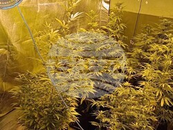 Снимка: МВР