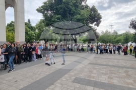 Плевен - опашка - розови храсти