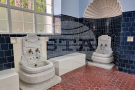 Банкя - Централна минерална баня - Ден на отворените врати