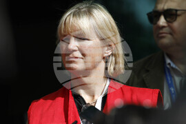 БЧК - брифинг - Тереза Хенли