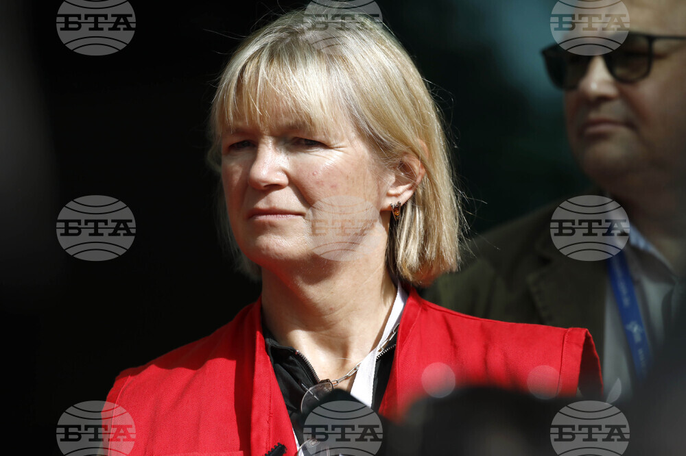 БЧК - брифинг - Тереза Хенли