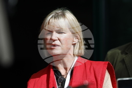 БЧК - брифинг - Тереза Хенли