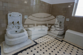 Банкя - Централна минерална баня - Ден на отворените врати