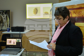 Исперих - Есенни музейни четения "Сборяново-2022"