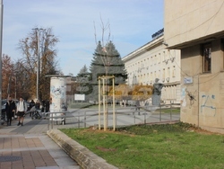 Продължава кампанията за засаждане на нови дървета в градската и паркова среда на Плевен