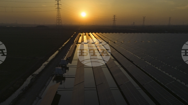 Албанското правителство одобри изграждането на две фотоволтаични централи близо до югоизточния град Корча