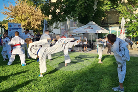 Плевен - спортни клубове - демонстрации