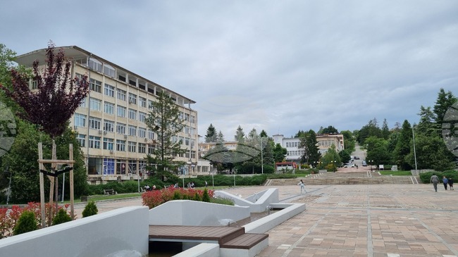 Светлините на коледната елха в Попово ще заблестят на 3 декември