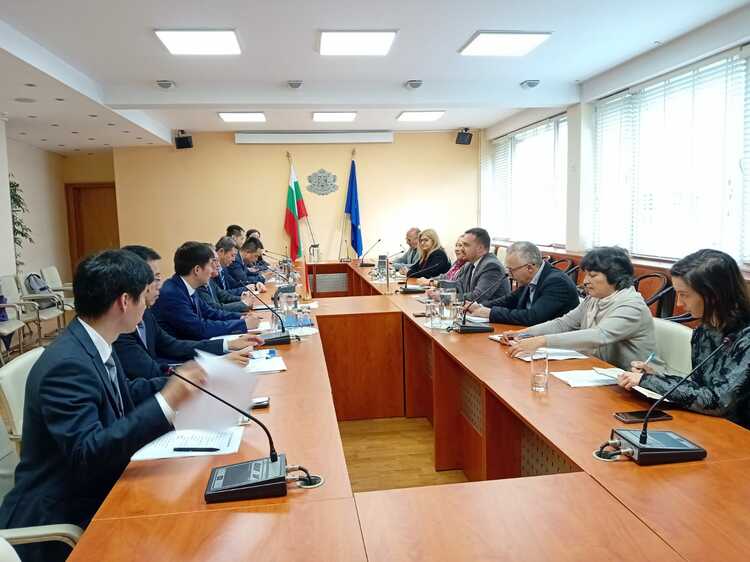 Българският заместник-министър на икономиката и представители на китайското министерство на търговията обсъждат задълбочаване на сътрудничеството
