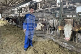 Смолян - млекомати