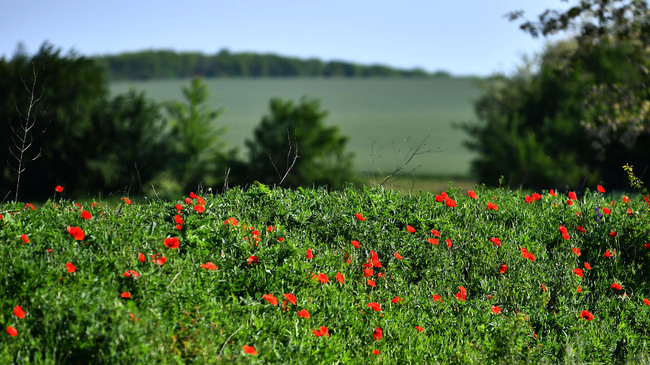 The Weather on May 1