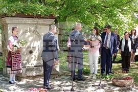 Елена - празник на града