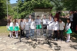 Елена - празник на града