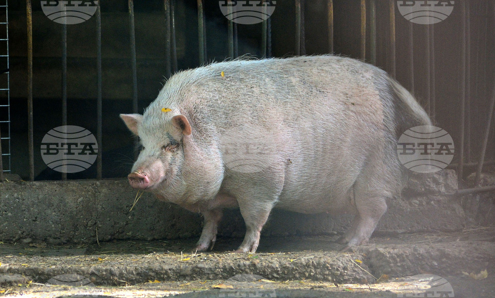 Разград - зоопарк - нови обитатели