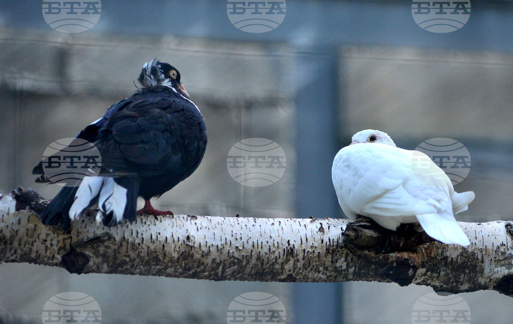 The Weather on November 19