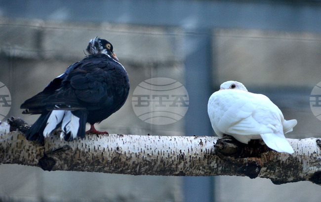 The Weather on November 19